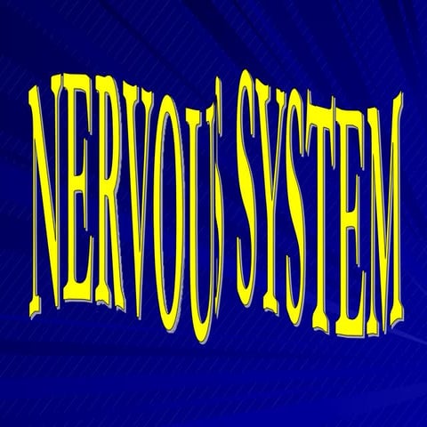 Nervous system