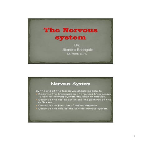 Nervous system by JITENDRA BHANGALE