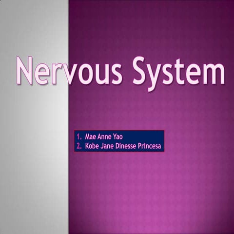 Nervous system