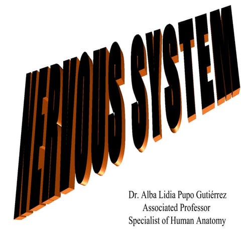 Nervous system