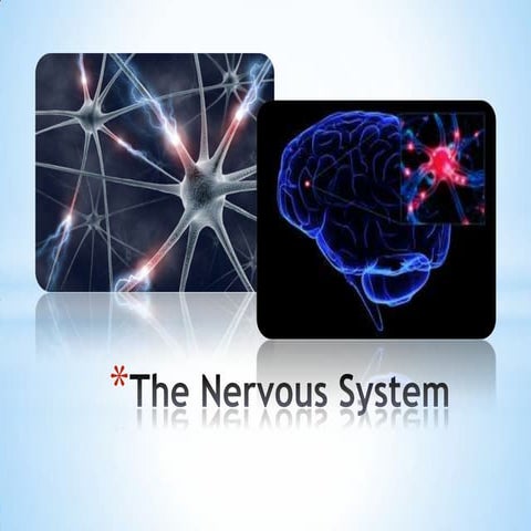 Nervous system