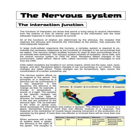 Nervous system