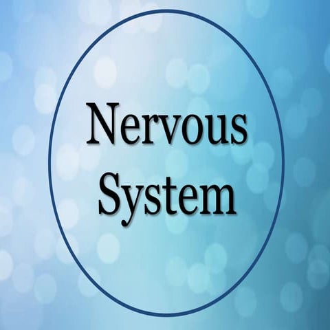Comparative Anatomy - Nervous System
