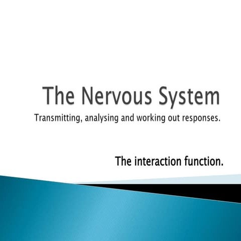 Nervous system
