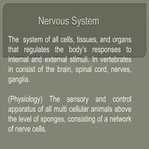 Nervous system