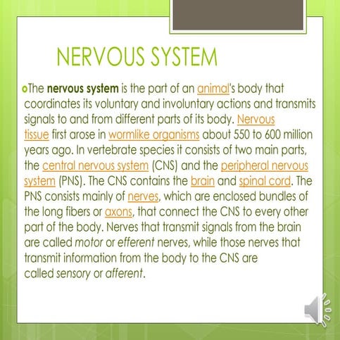 Nervous system