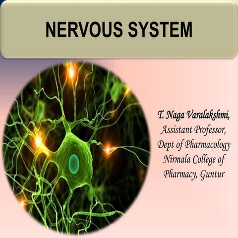 Nervous system ppt | PPTX