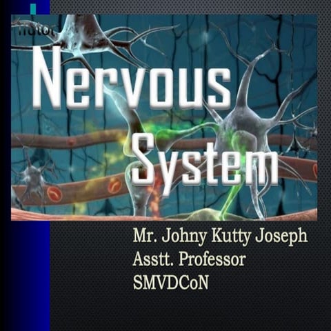 Johny's Anatomy & Physiology Part 2