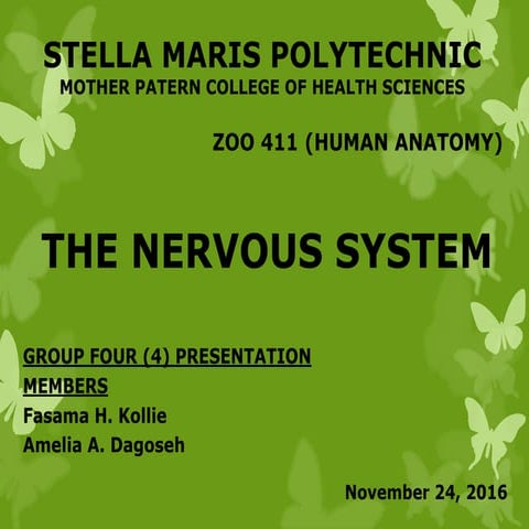 NERVOUS SYSTEM ANATOMY