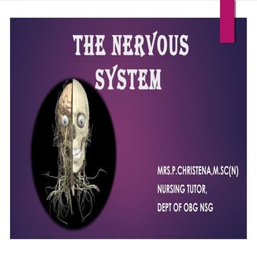 The Nervous system
