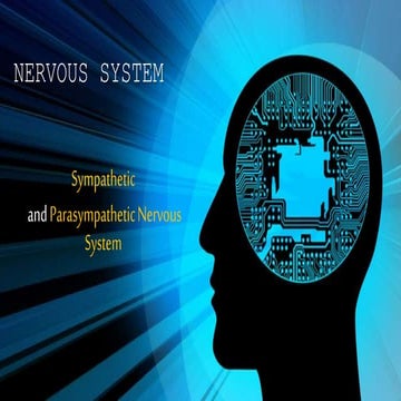 Nervous system- SYMPATHETIC and PARASYMPATHETIC