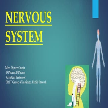 Nervous system