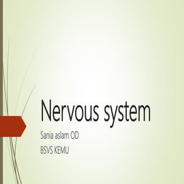Nervous system