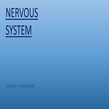 Nervous system