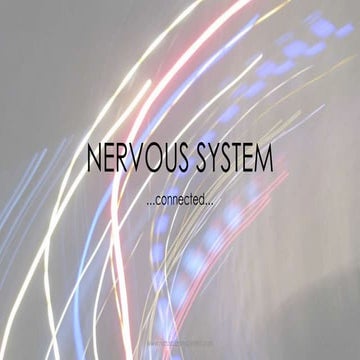 Nervous system