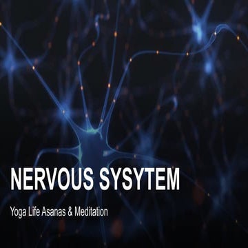 Nervous system