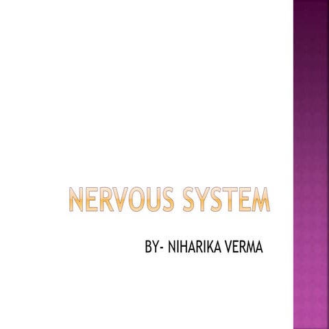 Nervous system