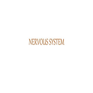 Nervous system