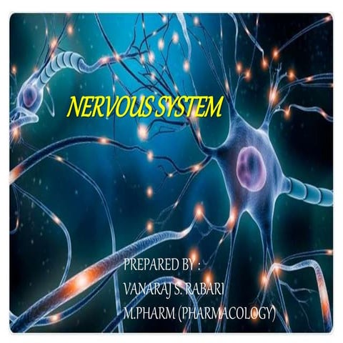 Nervous system