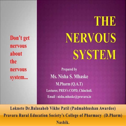 Nervous system