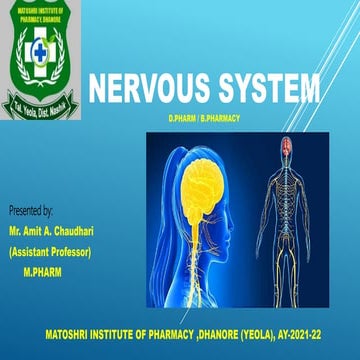 Central Nervous System