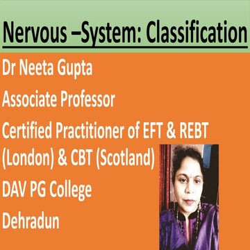 Nervous System: Classification