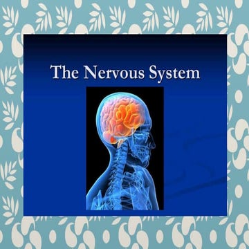NERVOUSSYSTEM.pptx