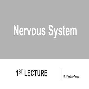Nervous system.pdf