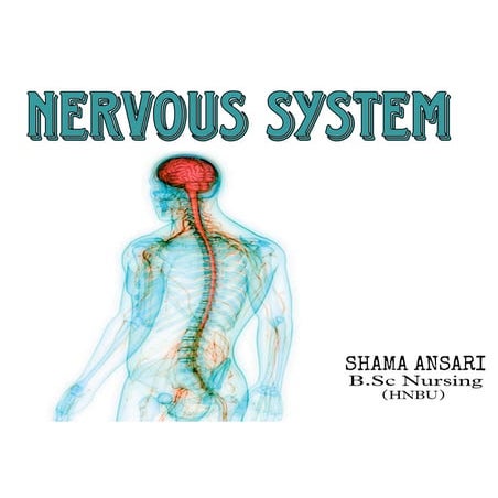 NERVOUS SYSTEM.pdf