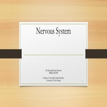 Nervous System & Brachial Plexus.pdf