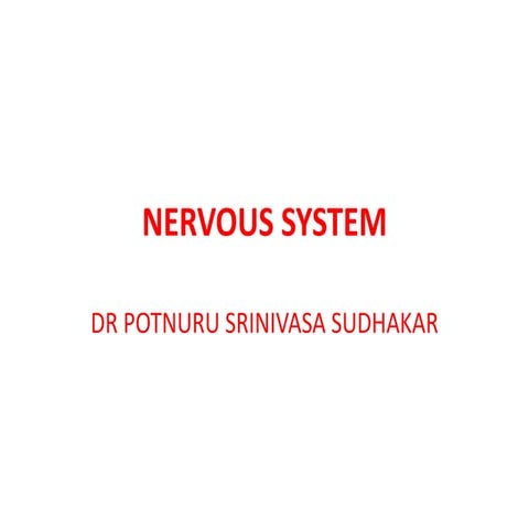 nervous system for 1st bhms students,,,,