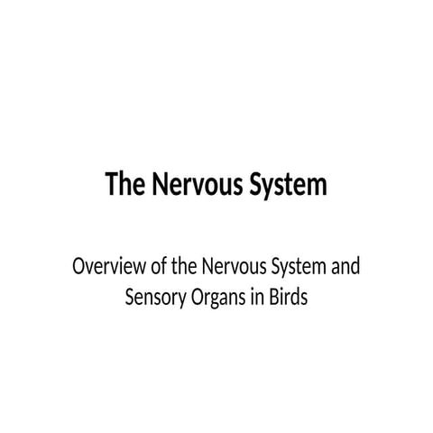 Nervous_System.pptx poultry physiology..