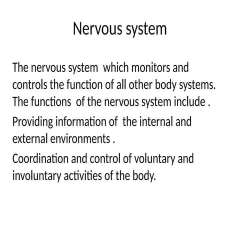 Nervous system basics anatomy medical student