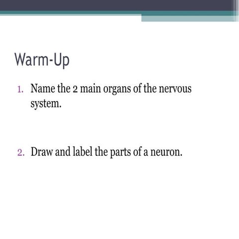 Nervous System work paid by someone .ppt
