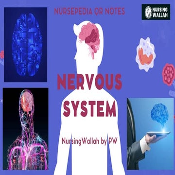 Nervous System bsc nursing first semester