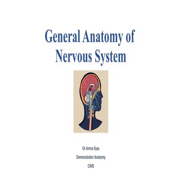 Nervous System -PNS.pptx, the peripheral nervous system. | PPTX