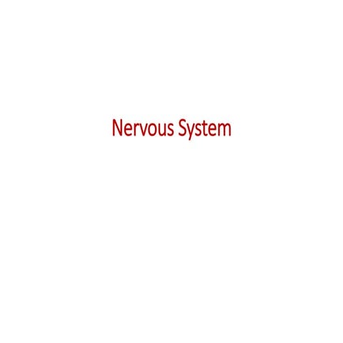 Nervous System-class 6.pdf