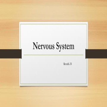 Nervous system 
