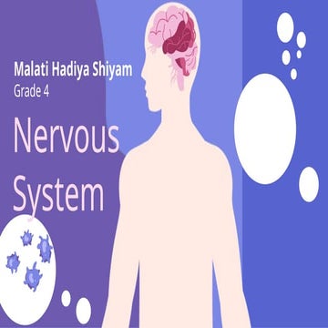 111mrayhanrizkir presentations