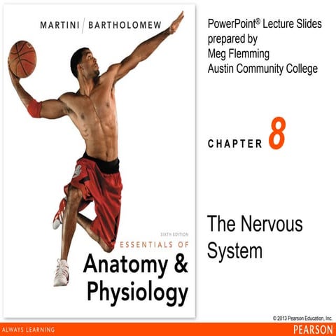 nervous_system 1.pdf science Nervous body