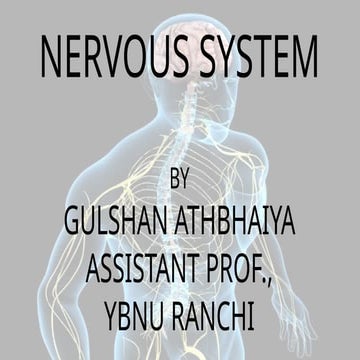 NERVOUS SYSTEM11 by Gulshan athbhaiya.pptx
