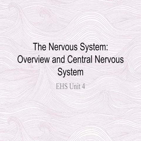 Nervous System Introduction and Central Nervous System
