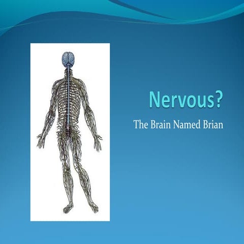 Nervous system2