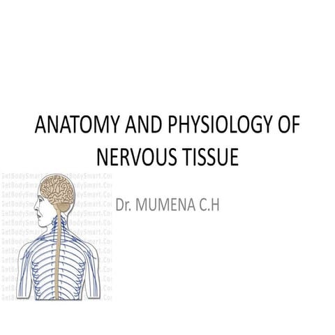 Nervous system anatomy and physiolog.ppt