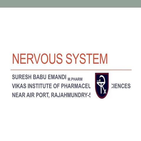 NERVOUS SYSTEM 2022