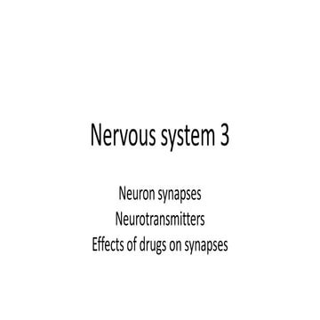 Nervous system 3; Synapses and Neurotransmitters