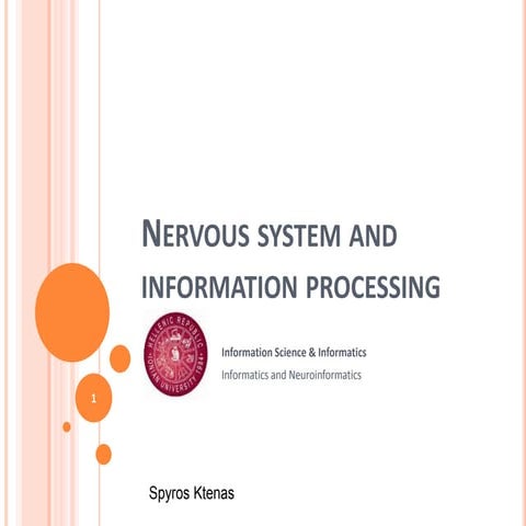 Nervous system and information processing