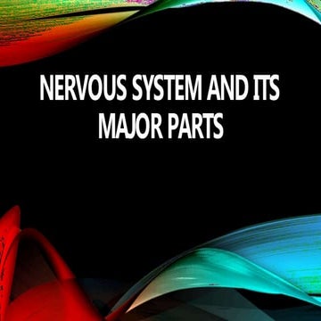 Nervous system and its major parts (lesson 6) | PPTX