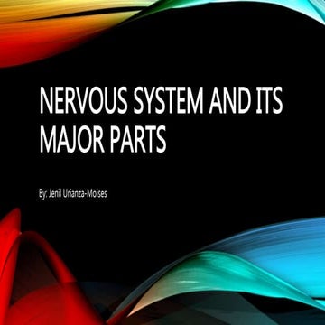 Nervous system and its major parts (lesson 6)