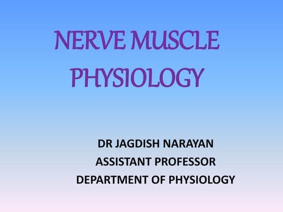 Ppt Histology Of The Peripheral Nervous System Powerpoint Central And